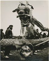 藏品(邱德雲單張相紙115)的圖片