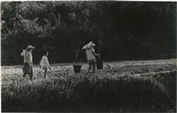 藏品(邱德雲單張相紙124)的圖片