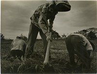 藏品(邱德雲單張相紙125)的圖片