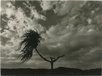 藏品(邱德雲單張相紙132)的圖片