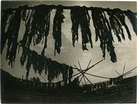 藏品(邱德雲單張相紙142)的圖片