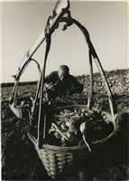 藏品(邱德雲單張相紙146)的圖片