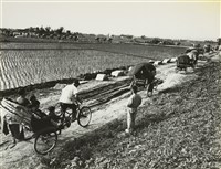 藏品(邱德雲8X10”相片1)的圖片