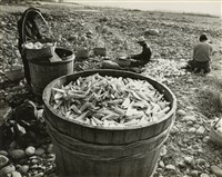 藏品(邱德雲8X10”相片5)的圖片