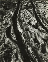 藏品(邱德雲8X10”相片6)的圖片