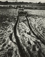 藏品(邱德雲8X10”相片7)的圖片