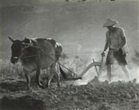 藏品(邱德雲8X10”相片13)的圖片