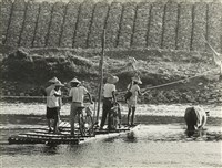 藏品(邱德雲8X10”相片17)的圖片