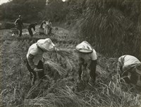 藏品(邱德雲8X10”相片24)的圖片