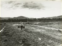 藏品(邱德雲8X10”相片26)的圖片