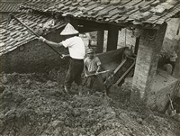 藏品(邱德雲8X10”相片27)的圖片