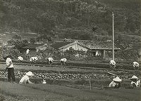 藏品(邱德雲8X10”相片28)的圖片