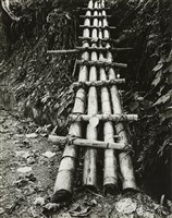 藏品(邱德雲8X10”相片31)的圖片