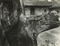 藏品(邱德雲8X10”相片42)的圖片