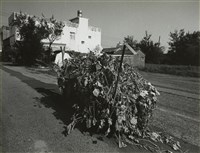 藏品(邱德雲8X10”相片49)的圖片