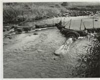 藏品(邱德雲8X10”相片54)的圖片