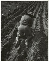 藏品(邱德雲8X10”相片57)的圖片