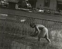 藏品(邱德雲8X10”相片61)的圖片