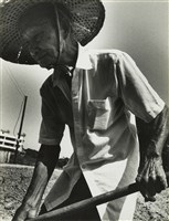 藏品(邱德雲8X10”相片64)的圖片