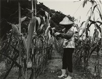 藏品(邱德雲8X10”相片67)的圖片