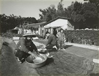 藏品(邱德雲8X10”相片69)的圖片