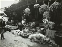 藏品(邱德雲8X10”相片81)的圖片