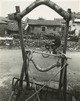 藏品(邱德雲8X10”相片86)的圖片