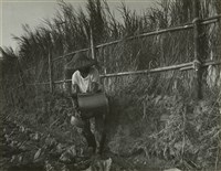 藏品(邱德雲8X10”相片89)的圖片