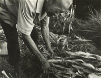 藏品(邱德雲8X10”相片90)的圖片