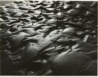 藏品(邱德雲8X10”相片92)的圖片