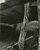 藏品(邱德雲8X10”相片93)的圖片