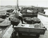 藏品(邱德雲8X10”相片98)的圖片