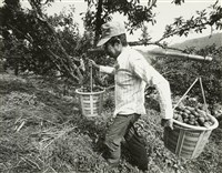 藏品(邱德雲8X10”相片106)的圖片