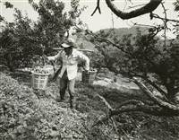 藏品(邱德雲8X10”相片107)的圖片