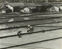 藏品(邱德雲8X10”相片112)的圖片