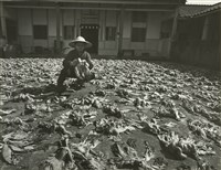 藏品(邱德雲8X10”相片113)的圖片