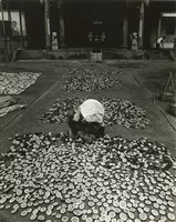 藏品(邱德雲8X10”相片121)的圖片