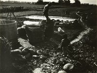 藏品(邱德雲8X10”相片125)的圖片