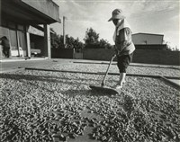 藏品(邱德雲8X10”相片127)的圖片