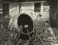 藏品(邱德雲裝裱相紙:風吹日炙系列10)的圖片