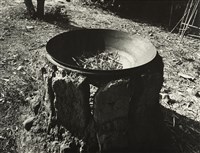 藏品(邱德雲裝裱相紙:風吹日炙系列27)的圖片