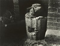 藏品(邱德雲裝裱相紙:風吹日炙系列28)的圖片