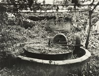 藏品(邱德雲裝裱相紙:風吹日炙系列44)的圖片