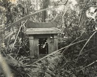 藏品(邱德雲裝裱相紙:風吹日炙系列62)的圖片