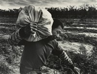 藏品(邱德雲裝裱相紙:汗流脈絡等系列5)的圖片