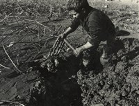 藏品(邱德雲裝裱相紙:汗流脈絡等系列6)的圖片