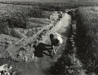 藏品(邱德雲裝裱相紙:汗流脈絡等系列8)的圖片