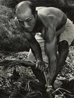 藏品(邱德雲裝裱相紙:汗流脈絡等系列14)的圖片