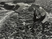 藏品(邱德雲裝裱相紙:汗流脈絡等系列15)的圖片