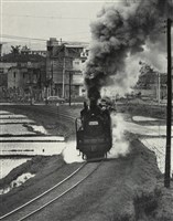 藏品(邱德雲裝裱相紙:汗流脈絡等系列19)的圖片